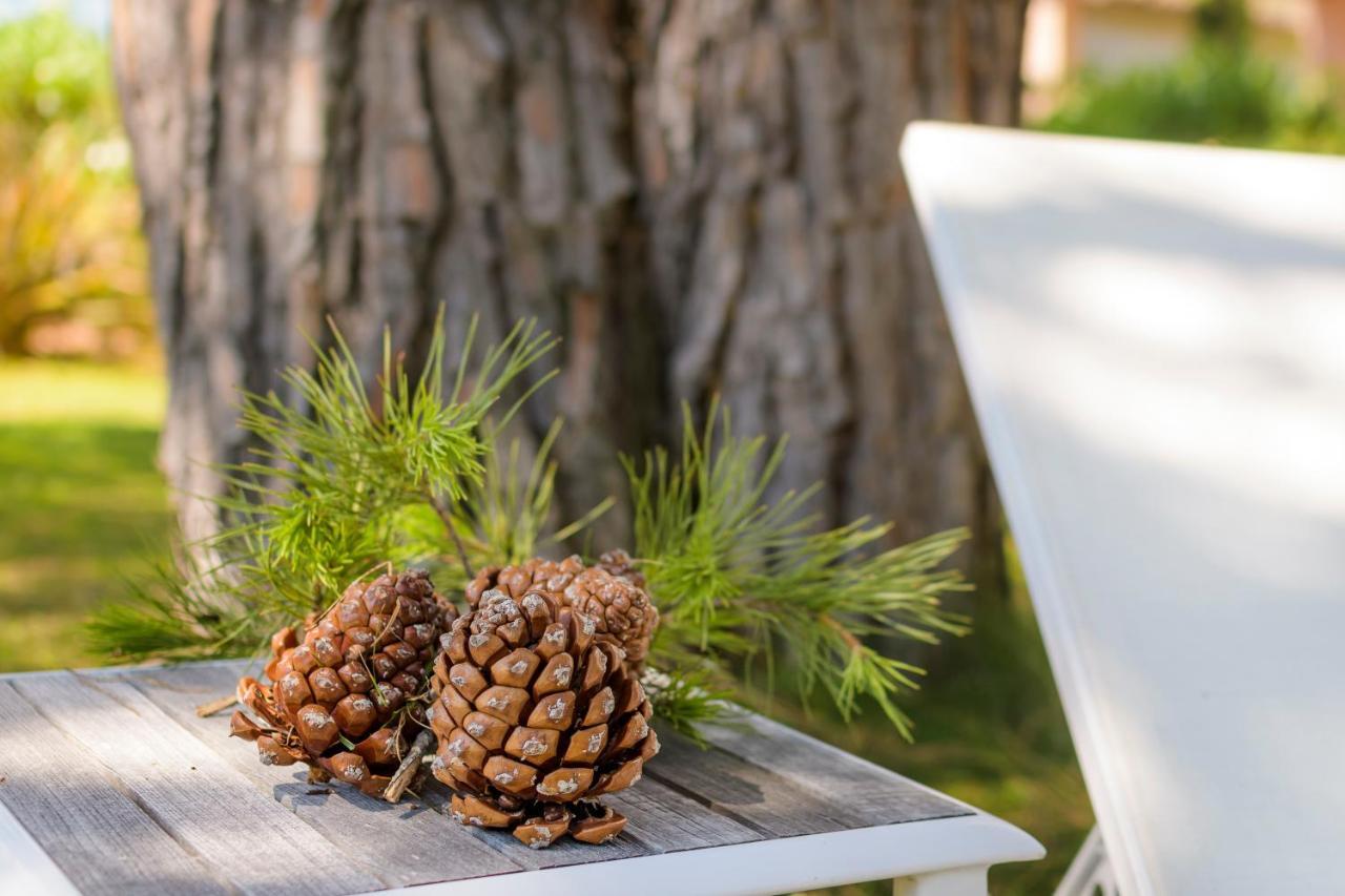 Les Pins De Santa Giulia Villa Порто-Векио Екстериор снимка